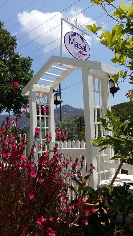 Masal Selimiye (Aegean)